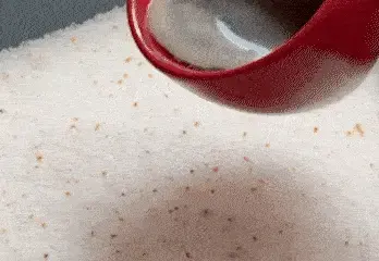 Absorption des odeurs