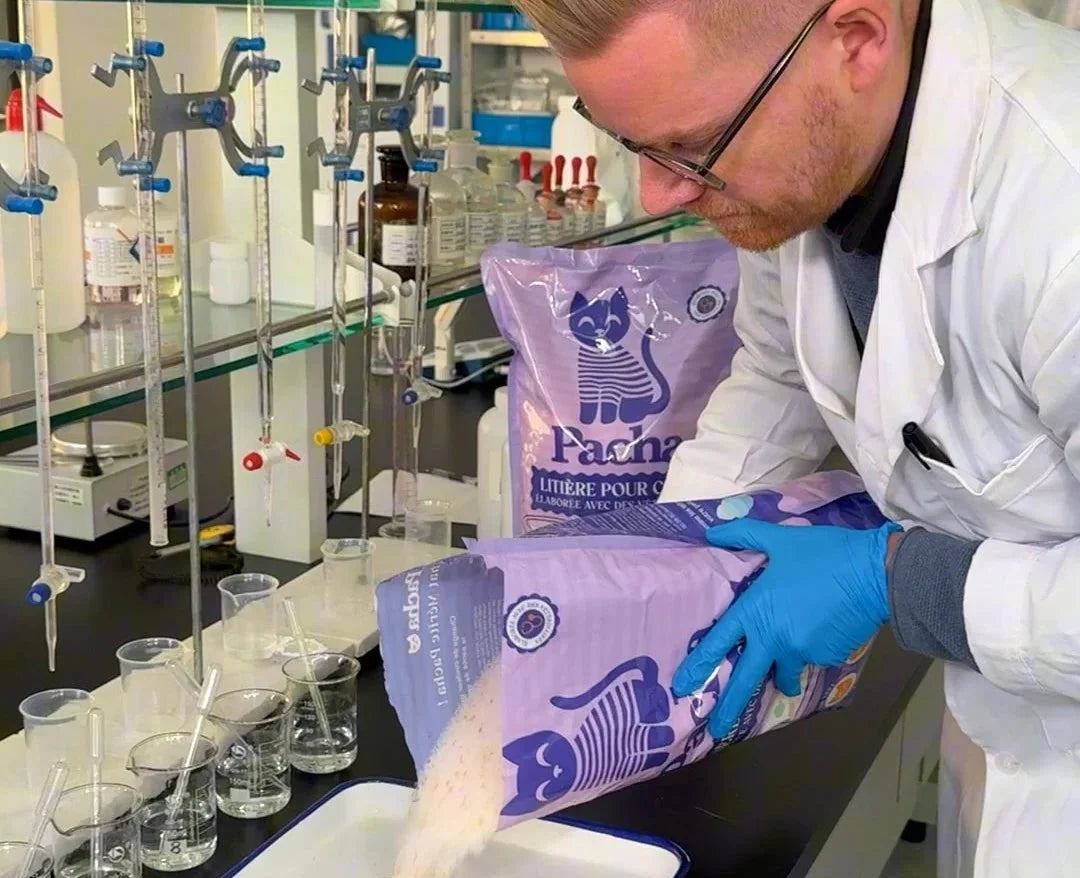 Développé avec des professionnels